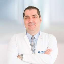 Prof. Dr. Ahmet Turan Evlice