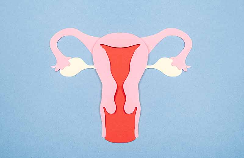 Over Torsiyonu (Yumurtalık Dönmesi) Nedir?