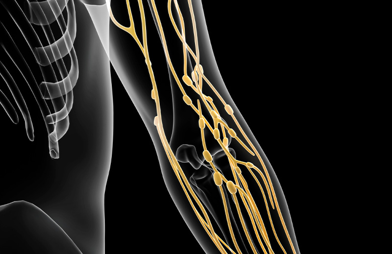 Periferik Damar Anjiyografi