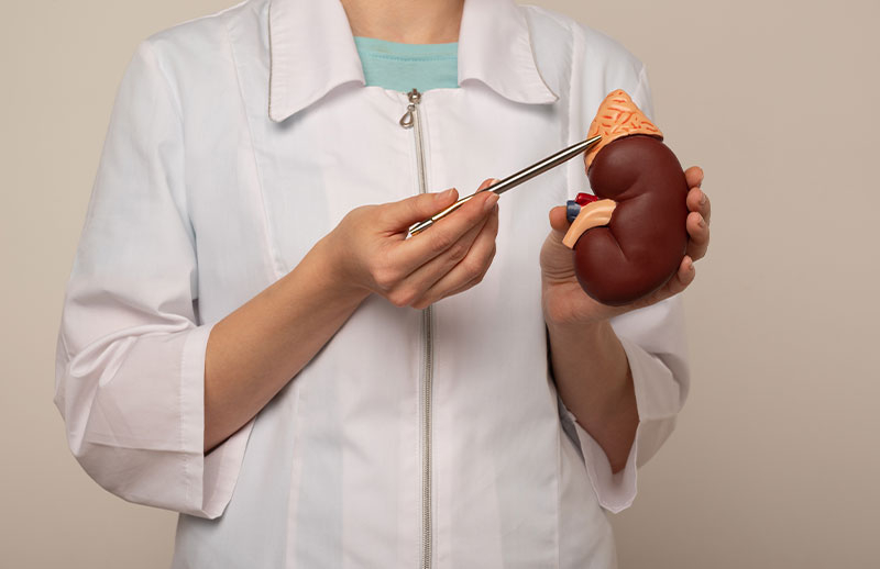 Robotik Böbrek Üstü Bezi Tümörü Ameliyatı